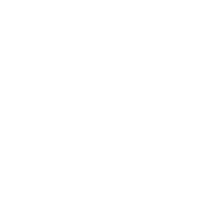 Blank white image with no visible content